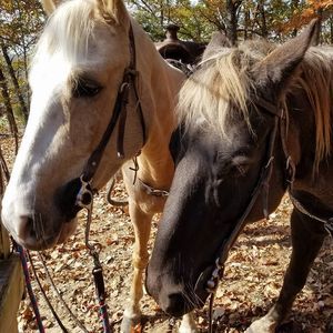 Meet your Posher, Robin